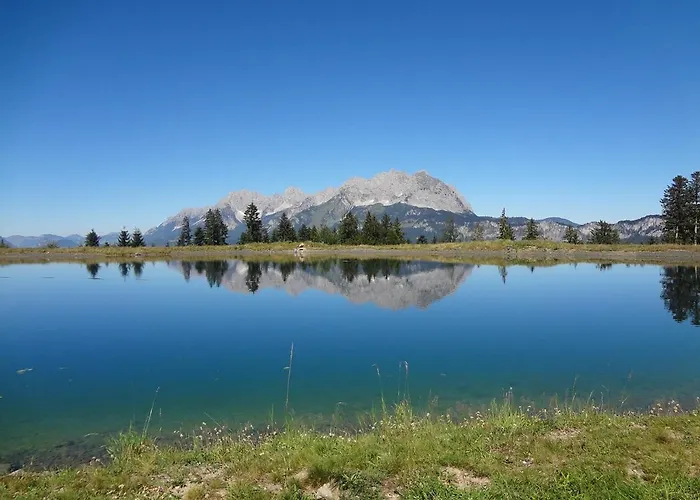 Brandstaetter 1 & 2 By Managers *