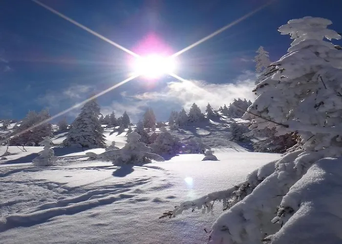 Brandstaetter 1 & 2 By Managers דירה בריקסן אים טהלה